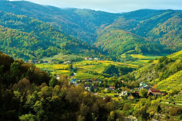 Landscape in the spitzer graben along the welterbesteig wachau hiking trail in Oktober, lower austria