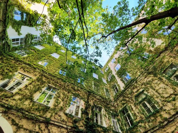 A very green courtyard in Vienna, photographed from below towards the sky. Some trees, green facades.