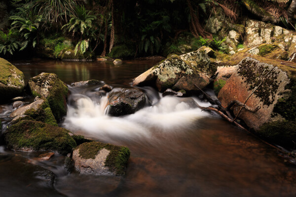 A small cascade under the main falls. There are ferns on the far bank, and what looks like a placid shallow pool before the water tumbles down some rocks and out the bottom right of the photo. Either side of the cascade are moss and lichen covered granite boulders. 