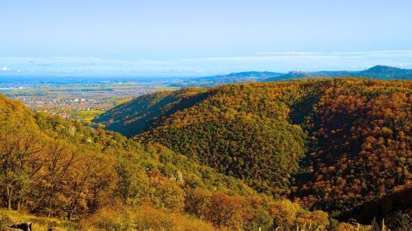 View from the mountain pemexel over the dunkelsteiner forest, lower austria