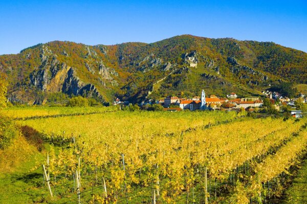 View of the city dürnstein in the wachau, lower austria, behind vineyards in early november